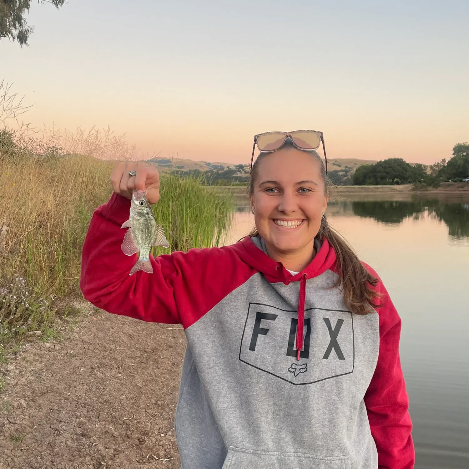 The most recent White crappie catches on Fishbrain
