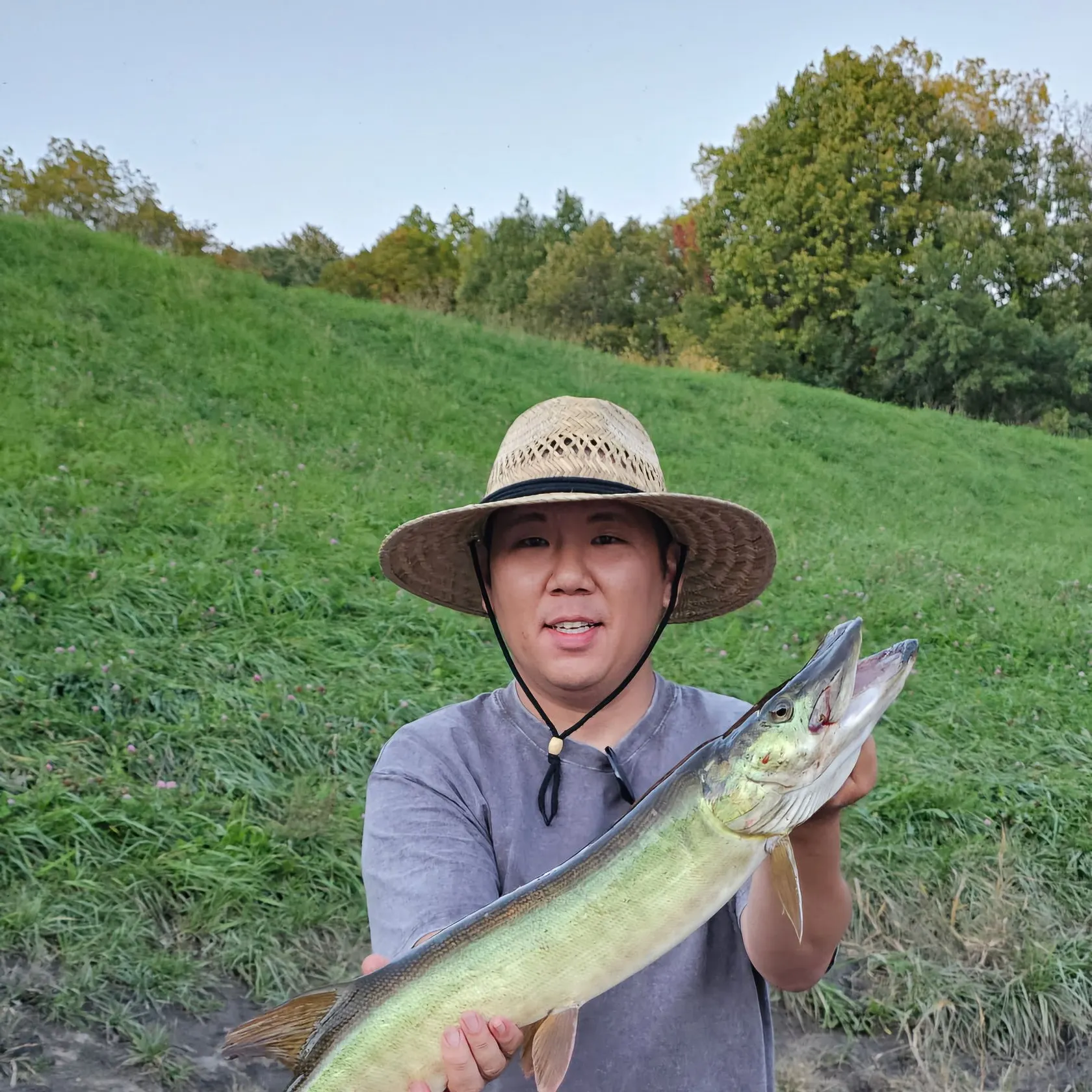 The most recent Muskie catches on Fishbrain