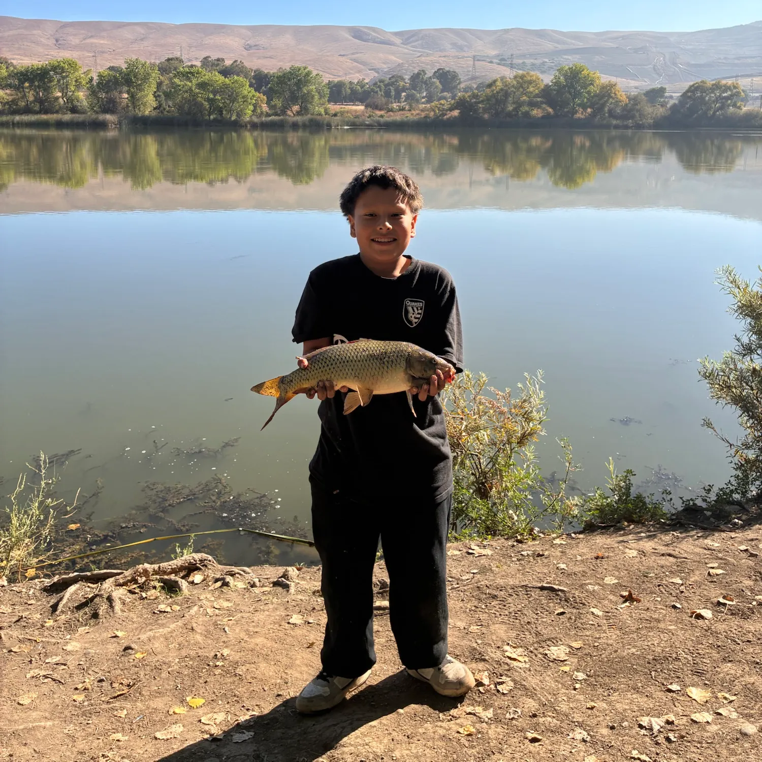 Common carp caught on Fishbrain