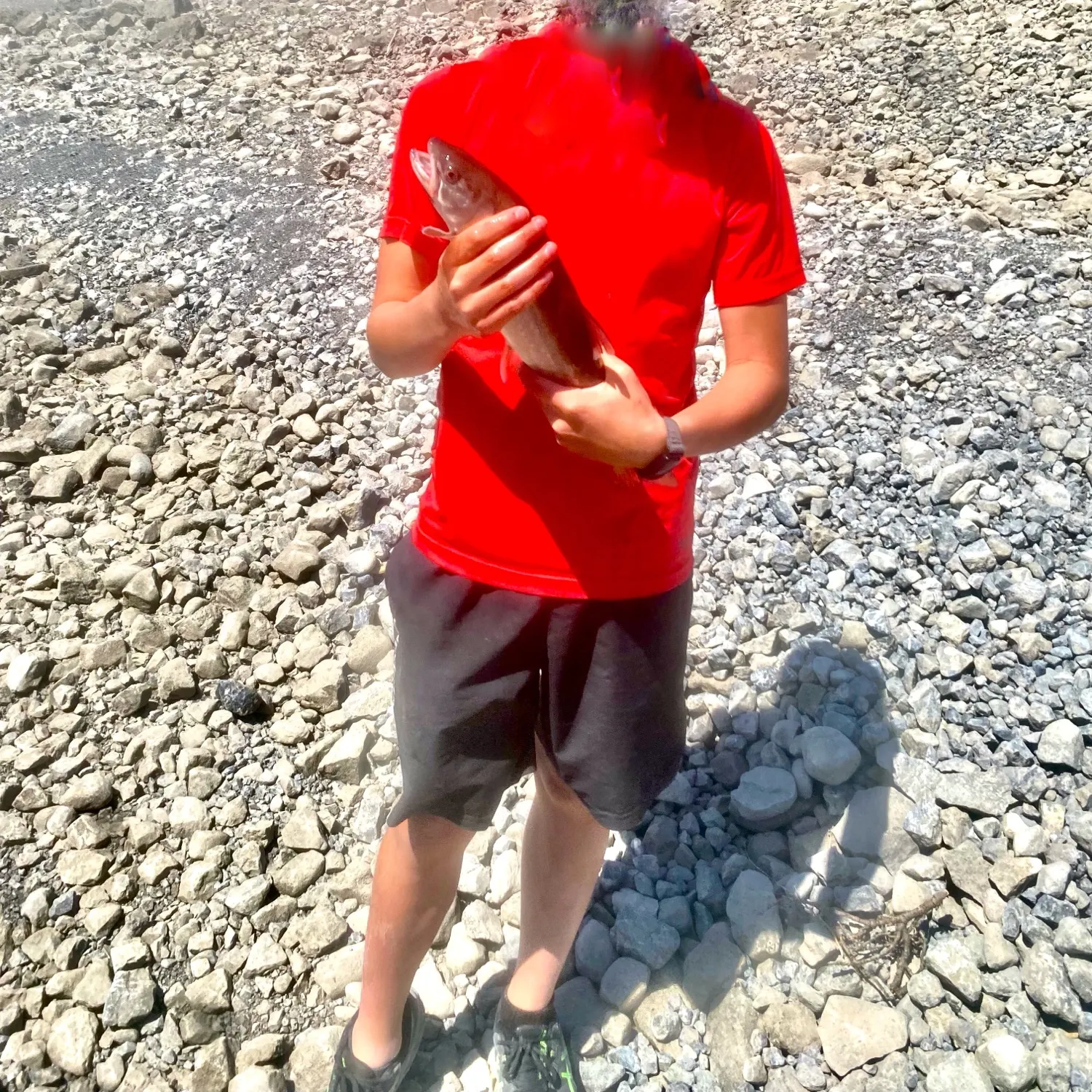 The most recent Dolly varden catches on Fishbrain