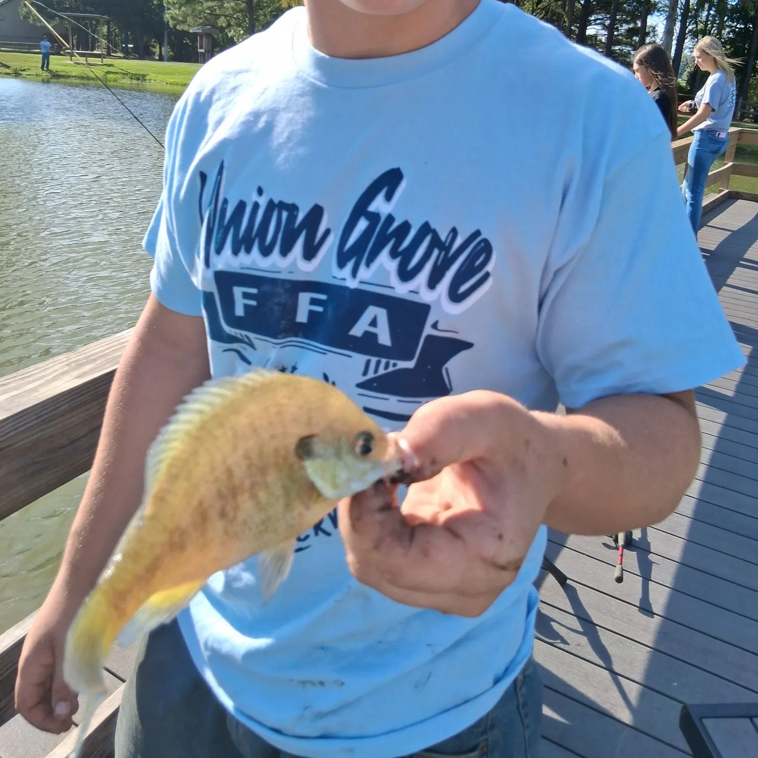 Bluegill caught on Fishbrain