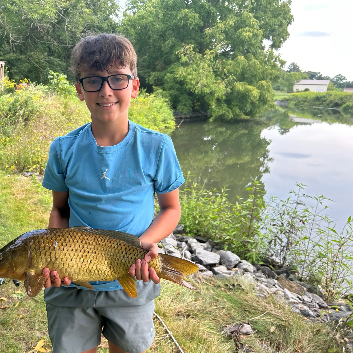 Common carp caught on Fishbrain