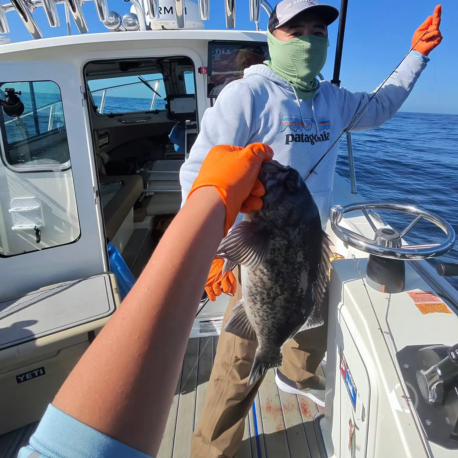 The most recent Black rockfish catches on Fishbrain