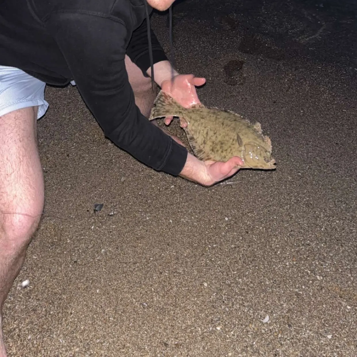 The most recent European plaice catches on Fishbrain