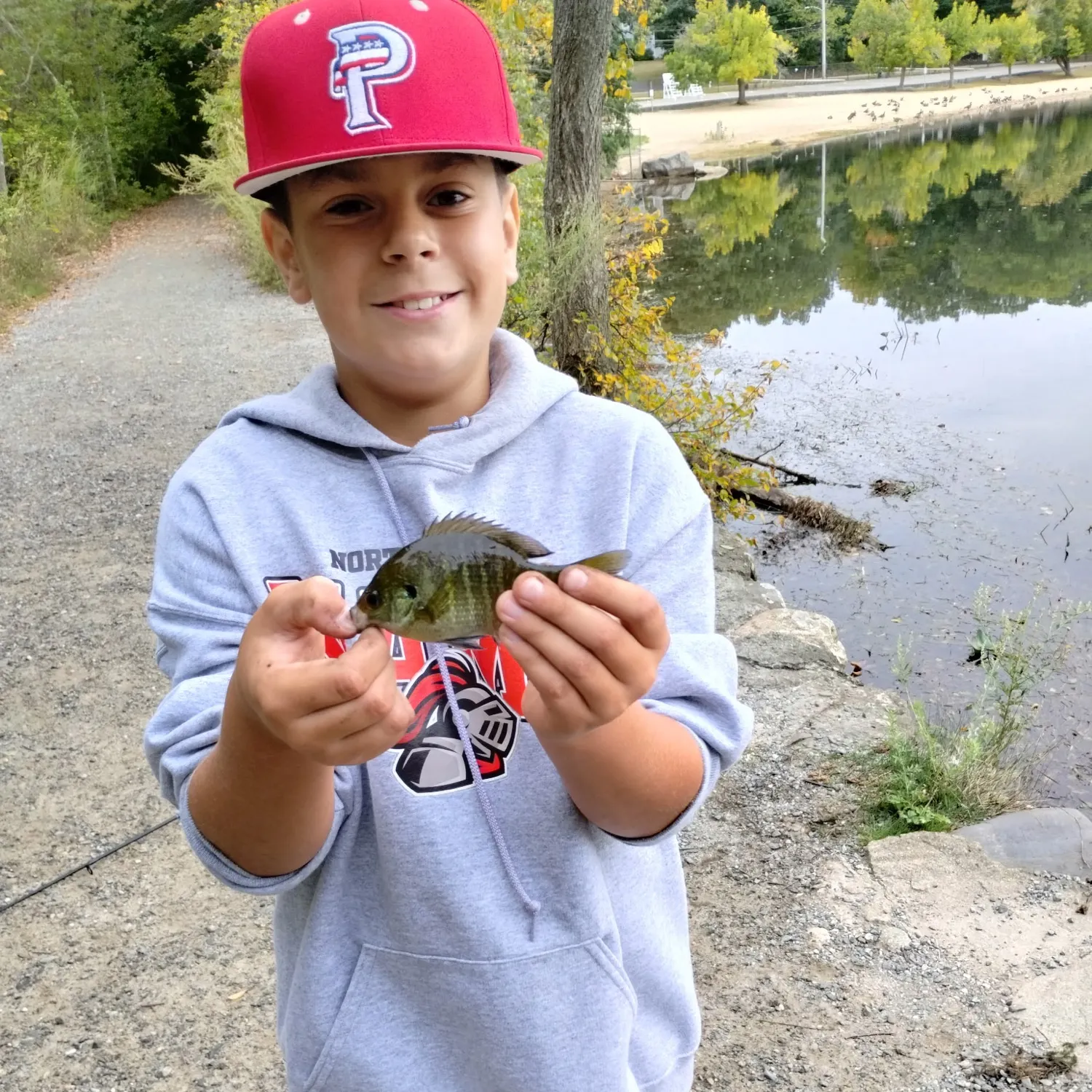 Bluegill caught on Fishbrain