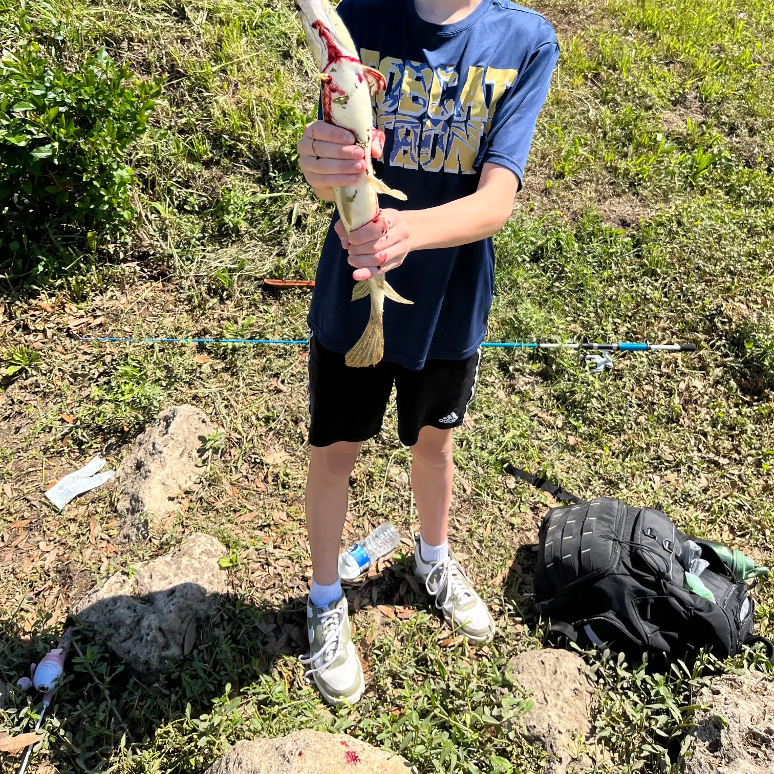 The most recent Shortnose gar catches on Fishbrain