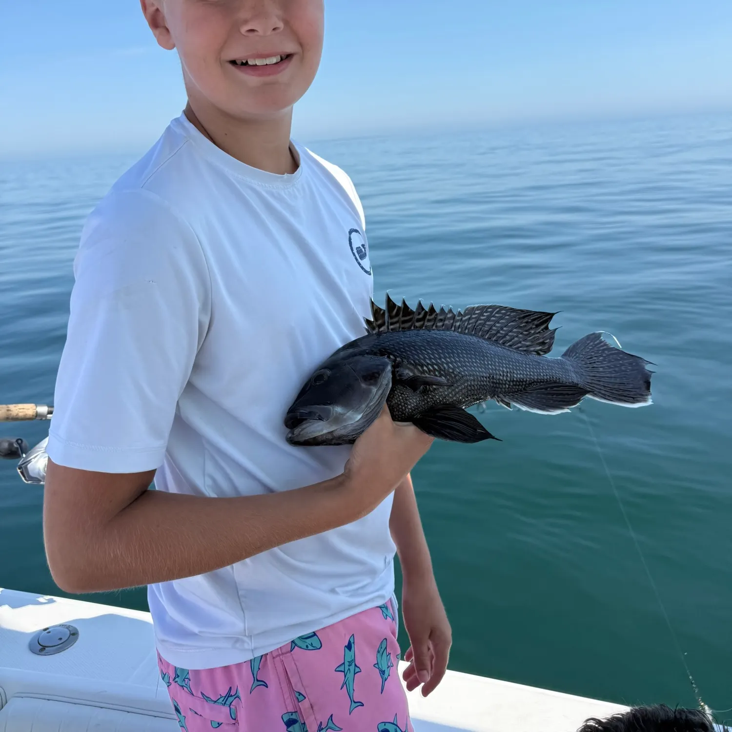 Black sea bass caught on Fishbrain