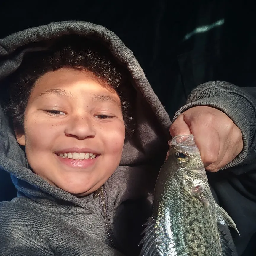 The most recent Mooneye catches on Fishbrain