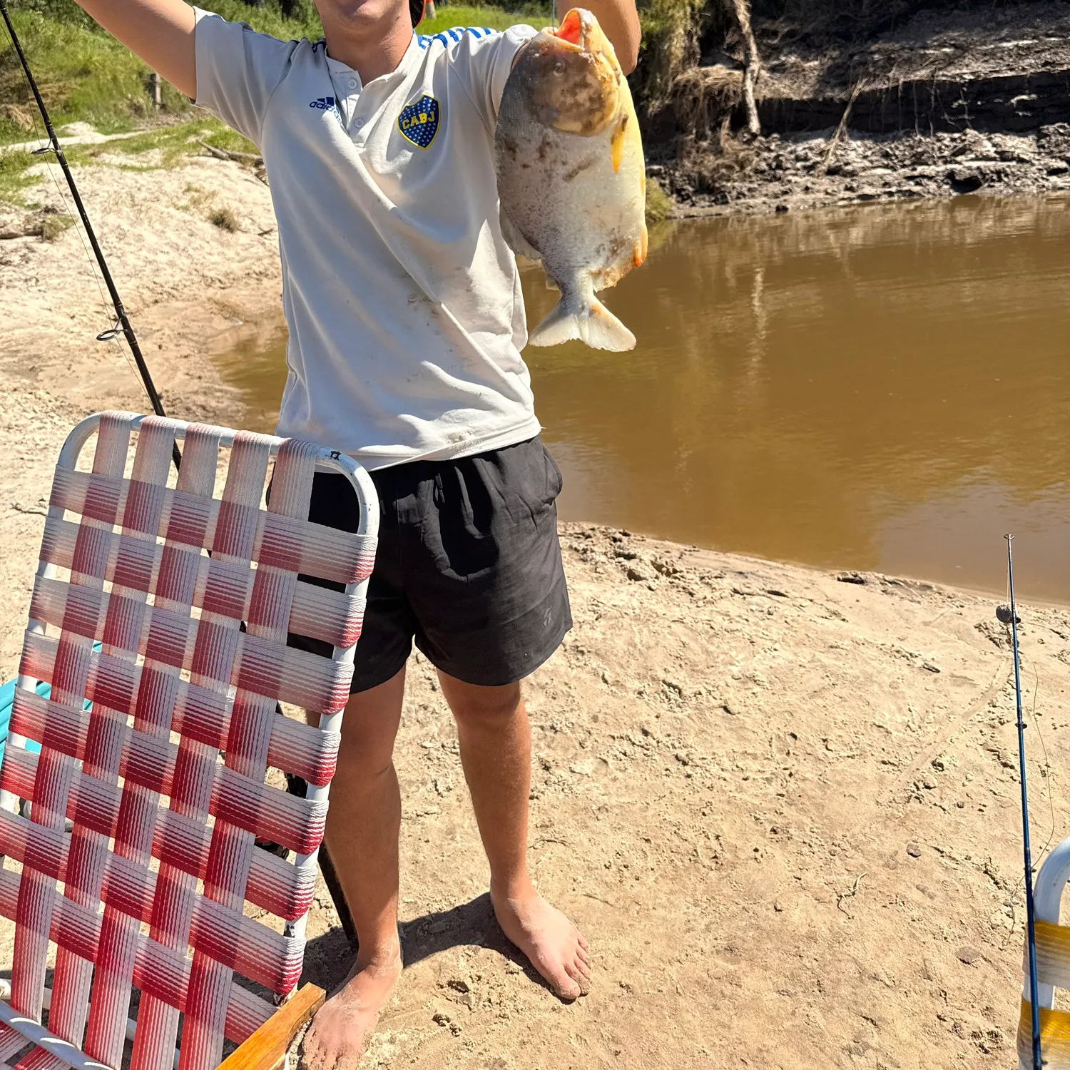 The most recent Small-scaled pacu catches on Fishbrain