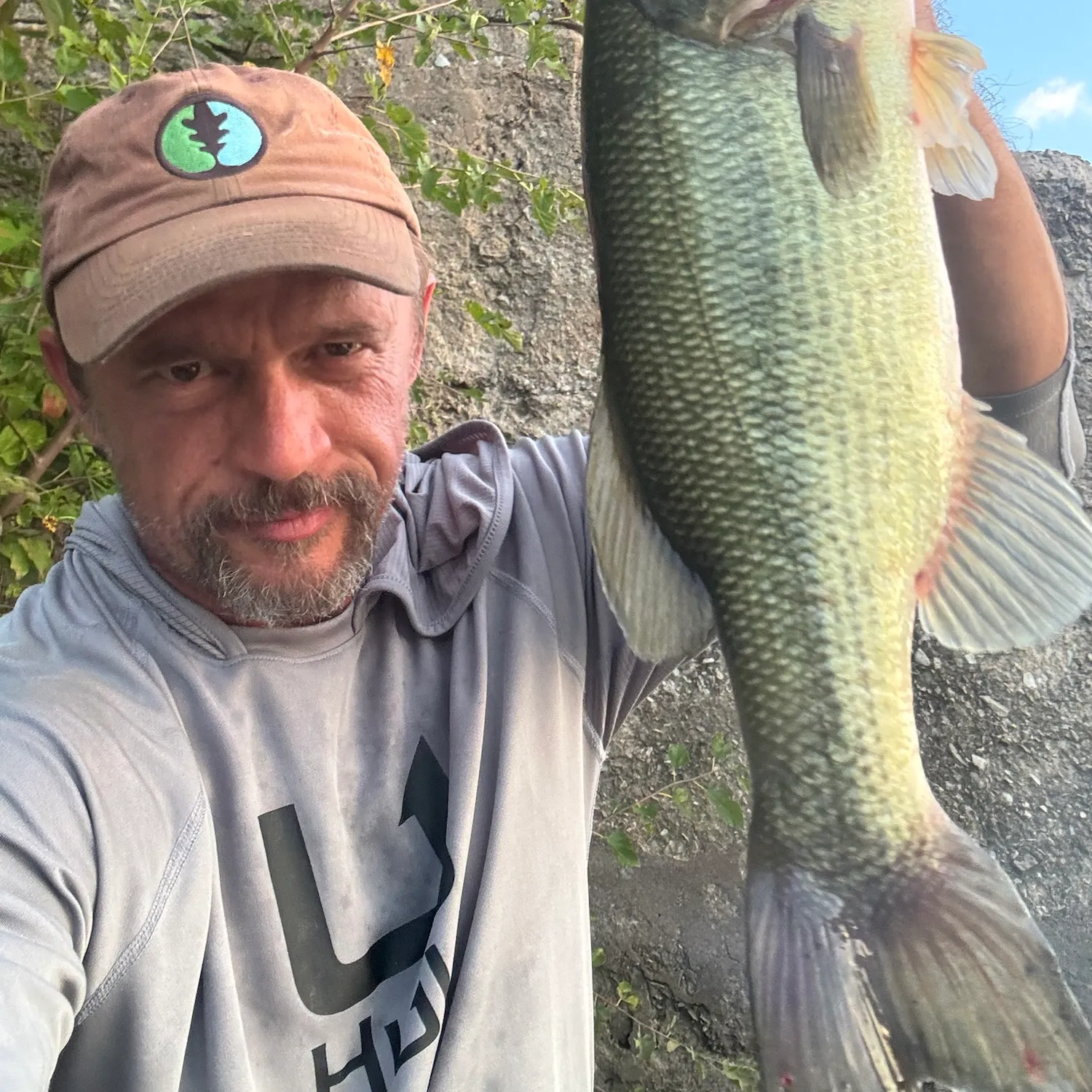 Largemouth bass caught on Fishbrain
