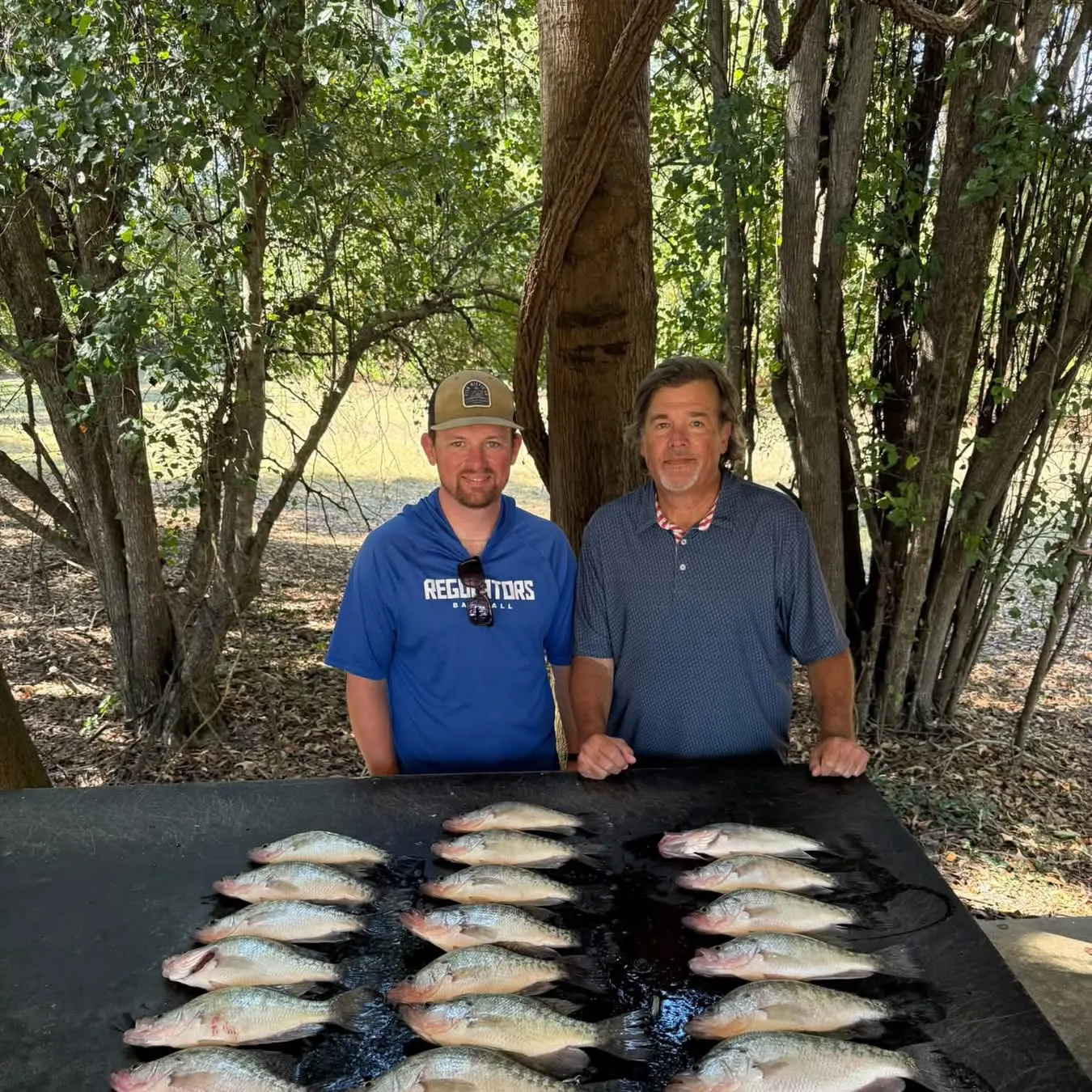 White crappie caught on Fishbrain