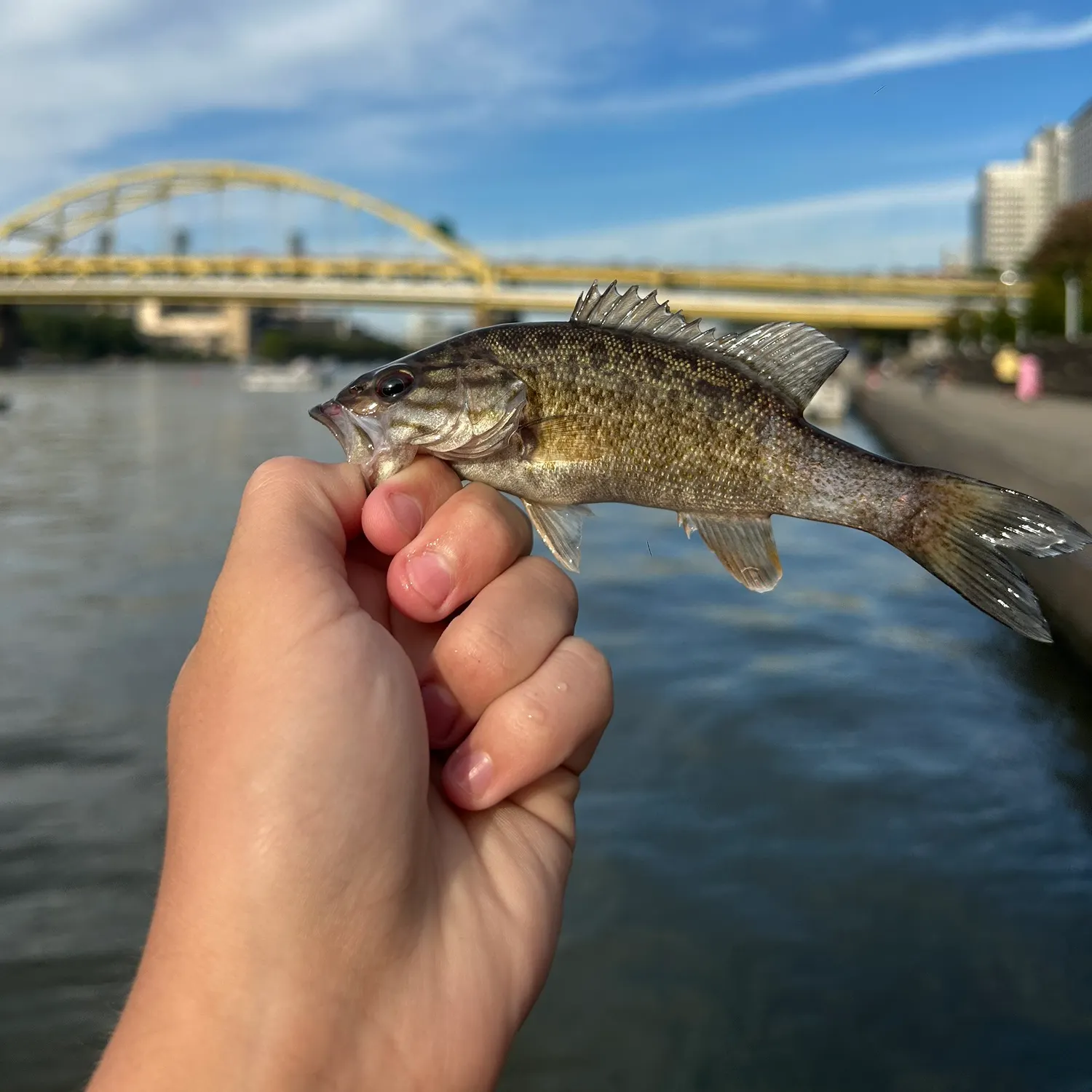 catch