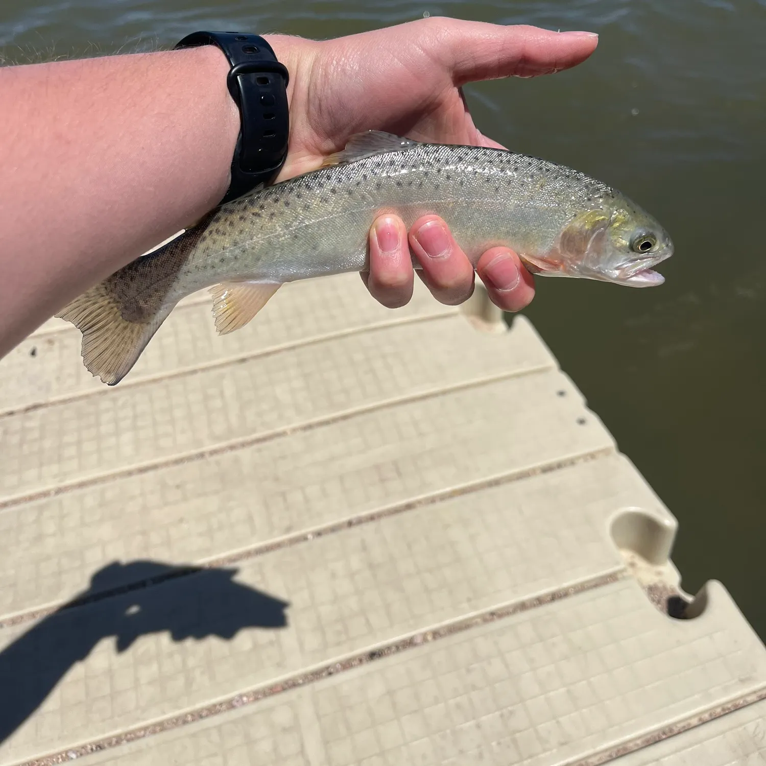 most liked catch image