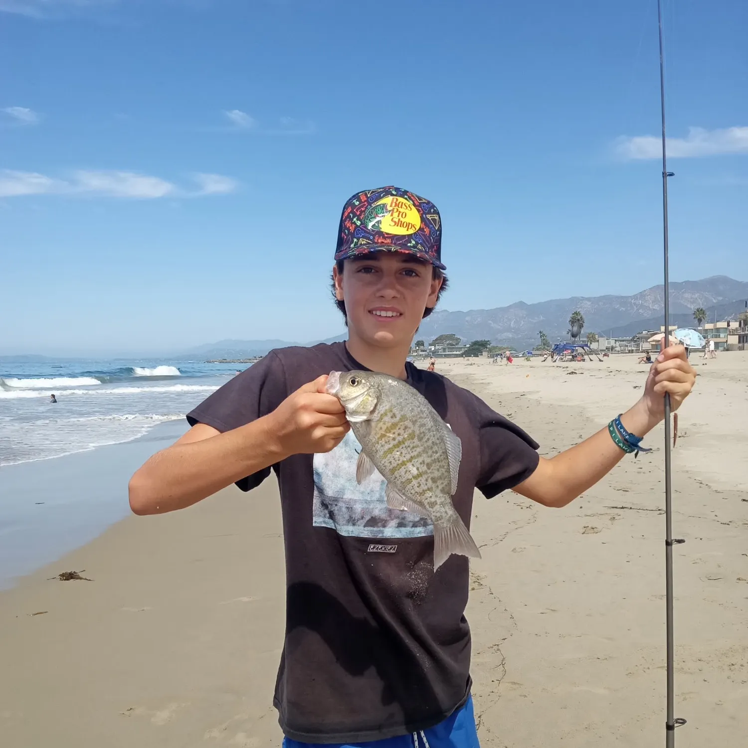 The most recent Barred surfperch catches on Fishbrain