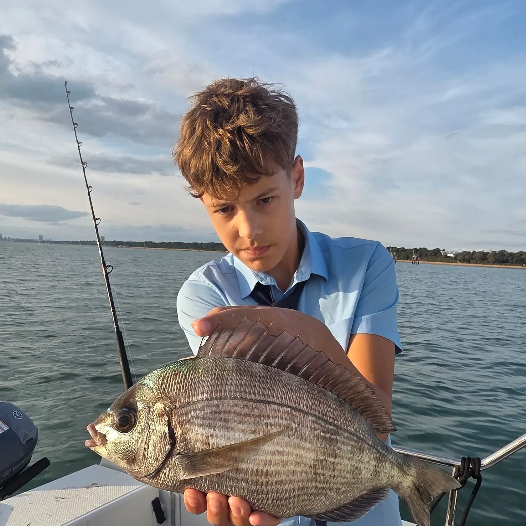 The most recent Black seabream catches on Fishbrain