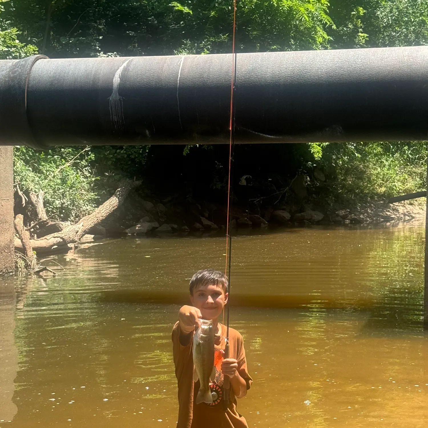 Largemouth bass caught on Fishbrain
