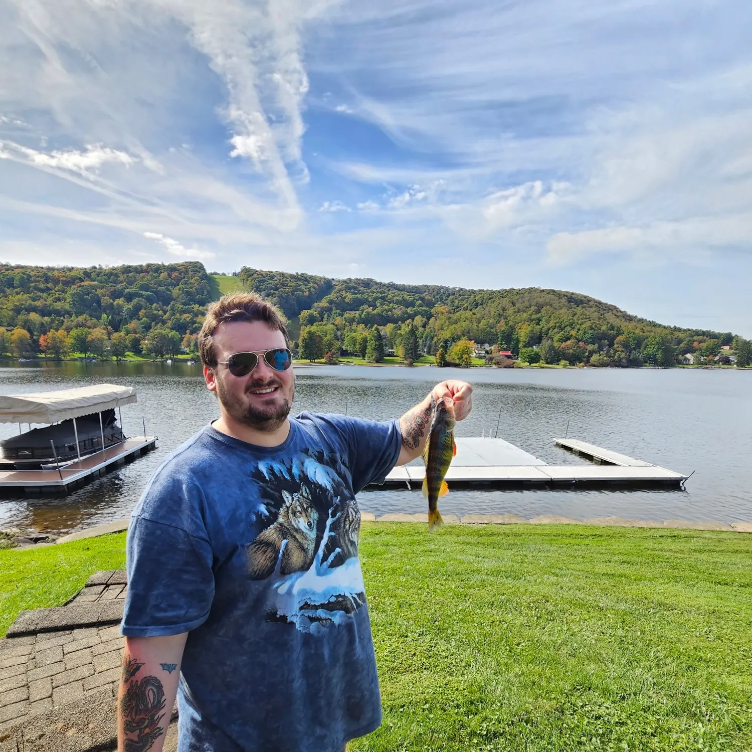 Yellow perch caught on Fishbrain
