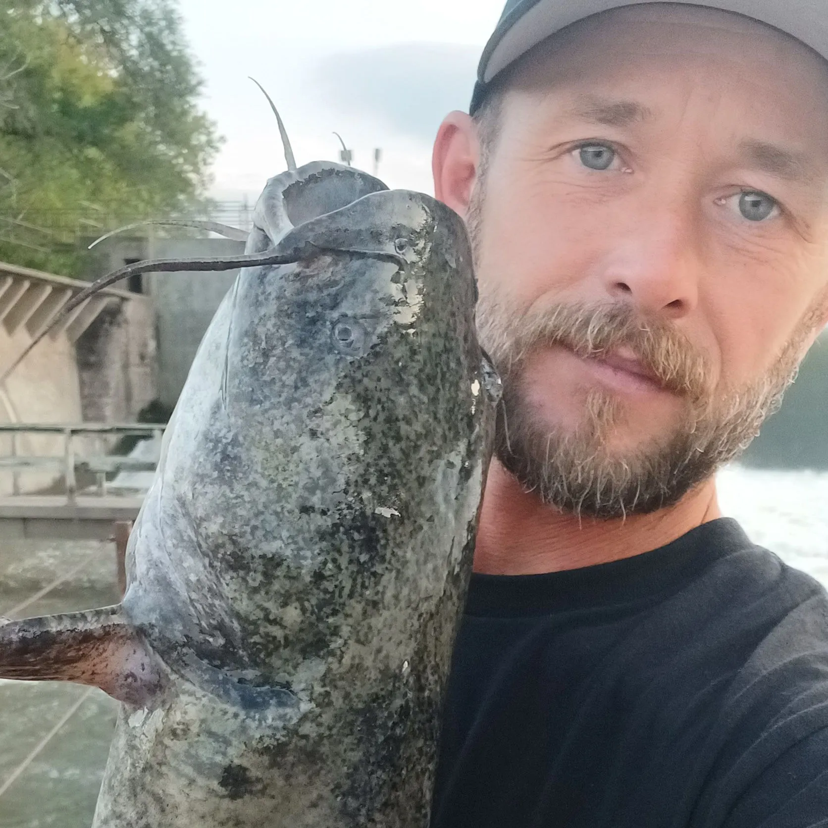 Flathead catfish caught on Fishbrain