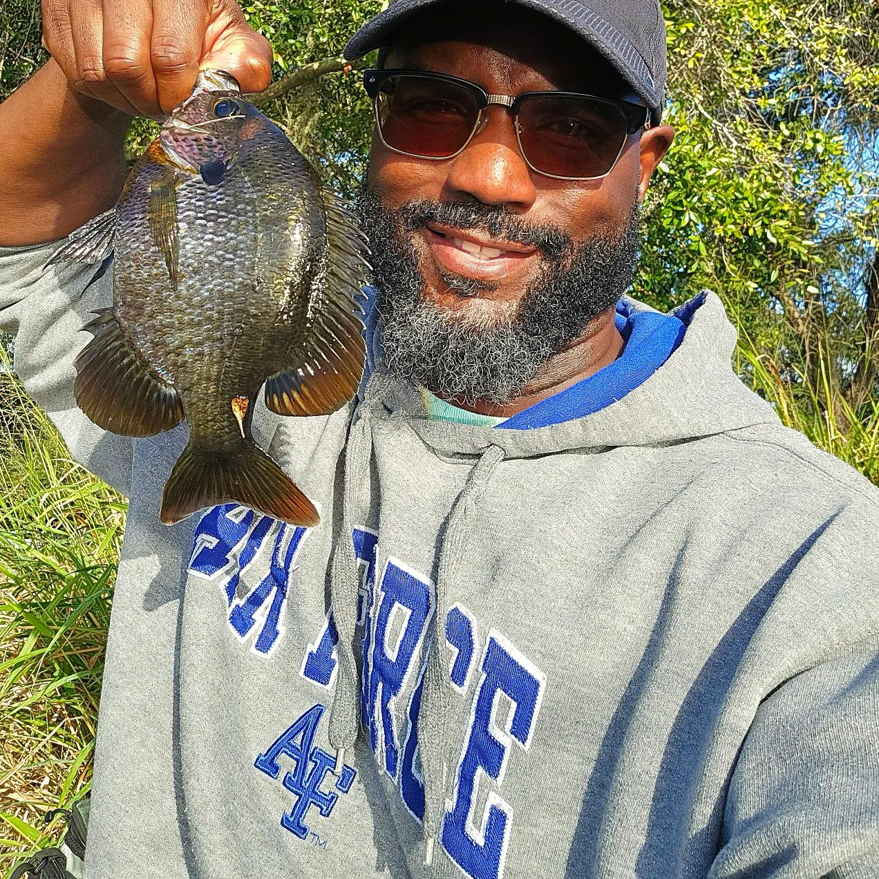 Bluegill caught on Fishbrain