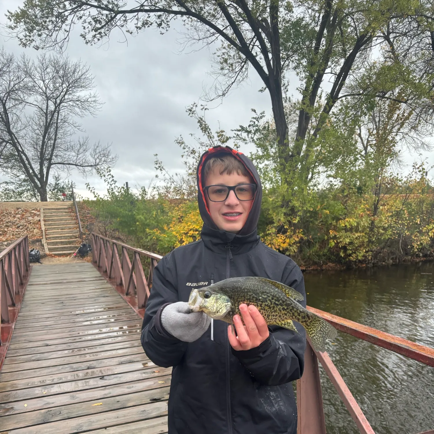 Black crappie caught on Fishbrain