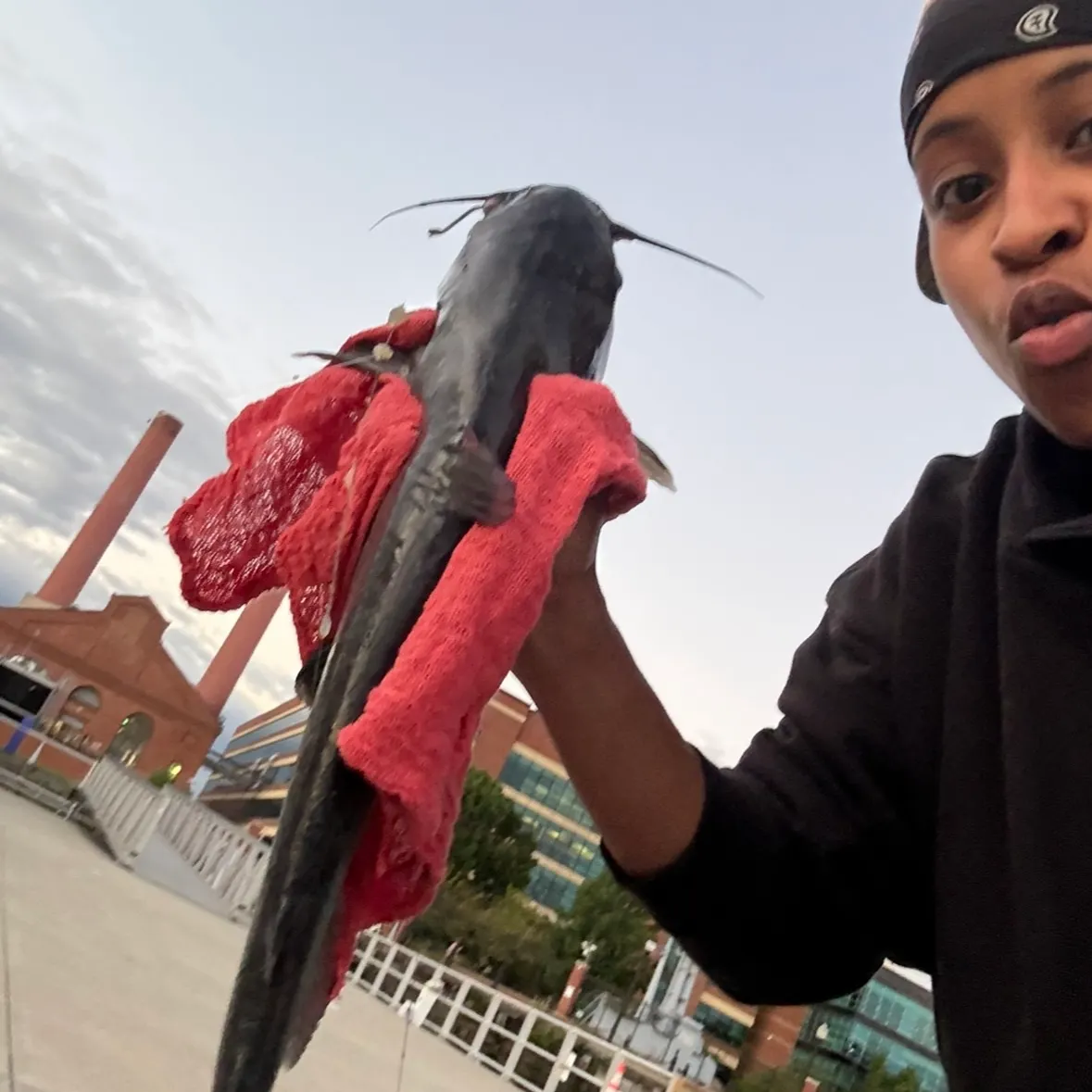 Blue catfish caught on Fishbrain
