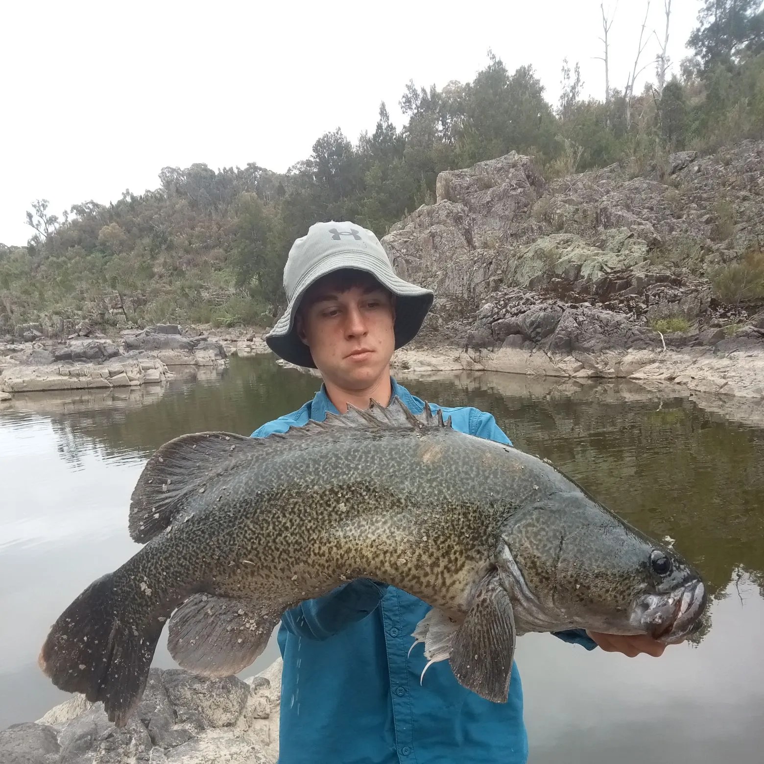 The most recent Murray cod catches on Fishbrain