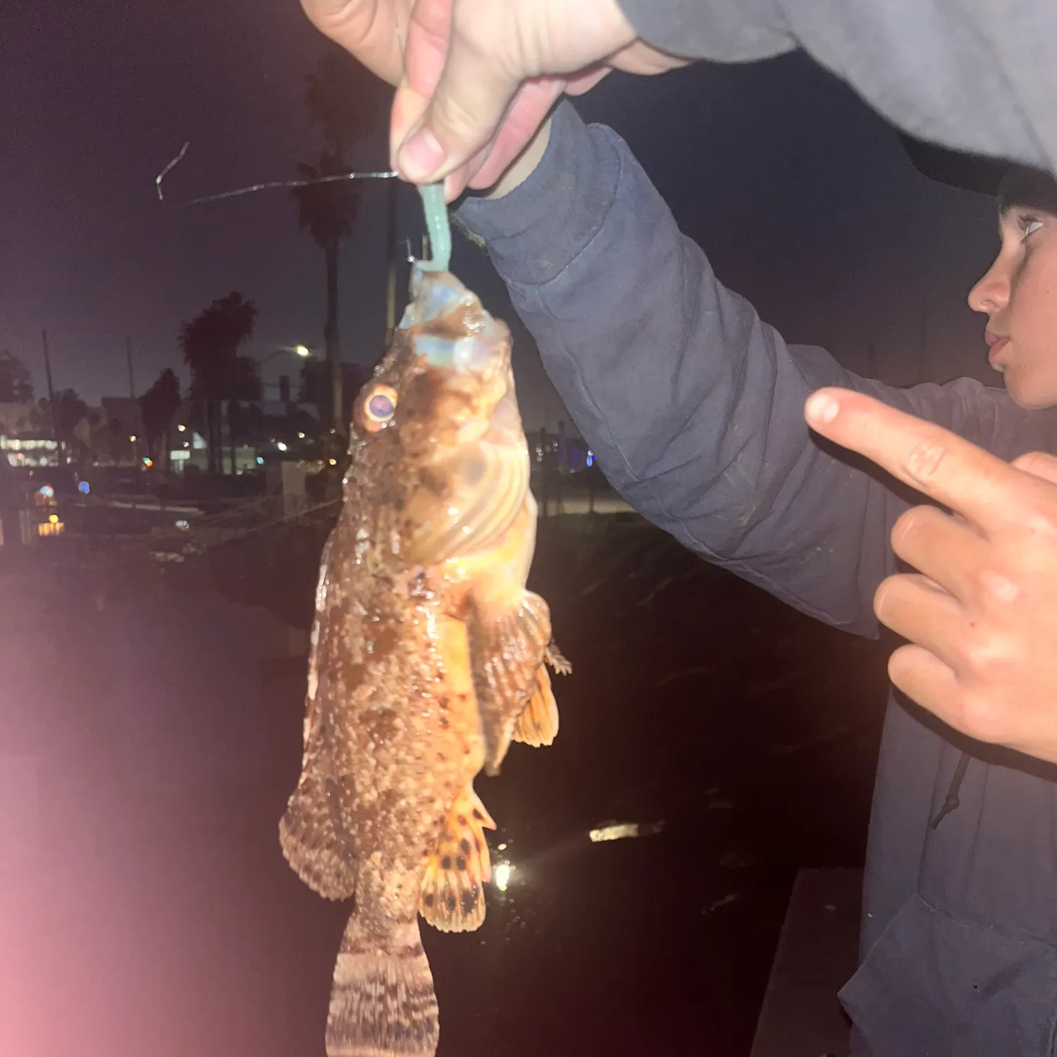 The most recent Longspined bullhead catches on Fishbrain
