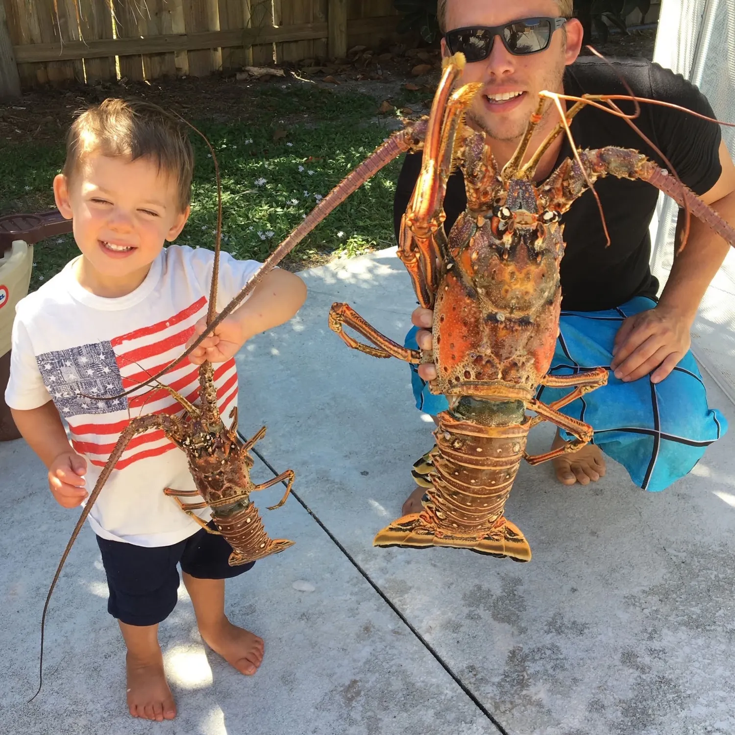 Caribbean spiny lobster caught on Fishbrain