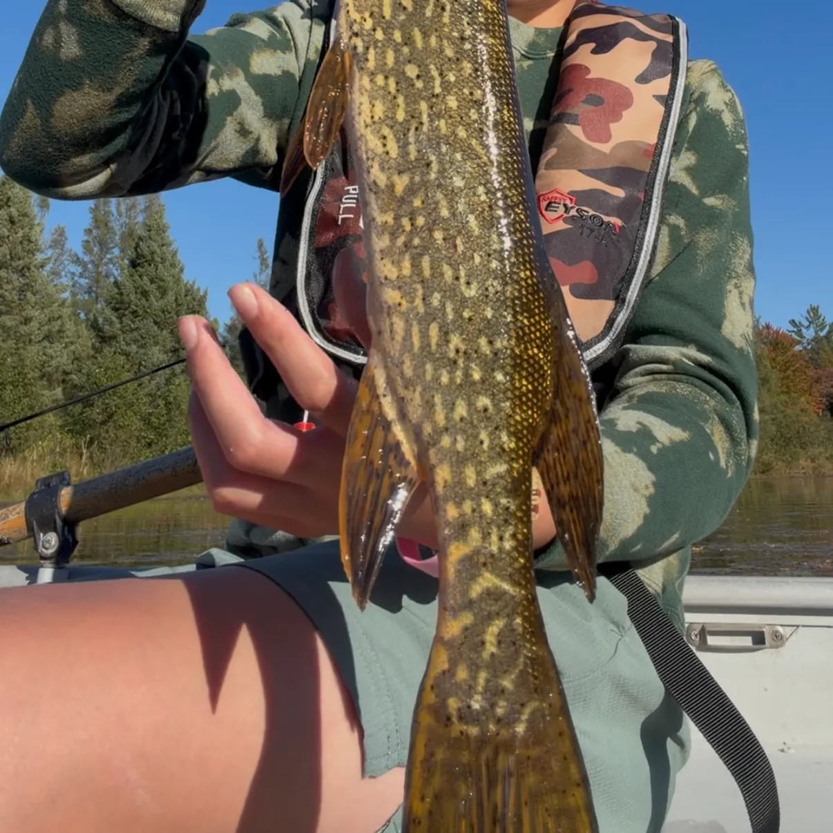 Northern pike caught on Fishbrain