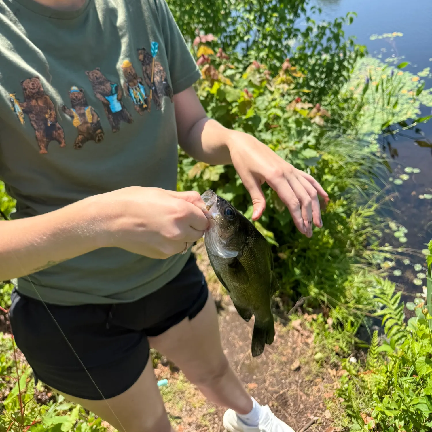 catch