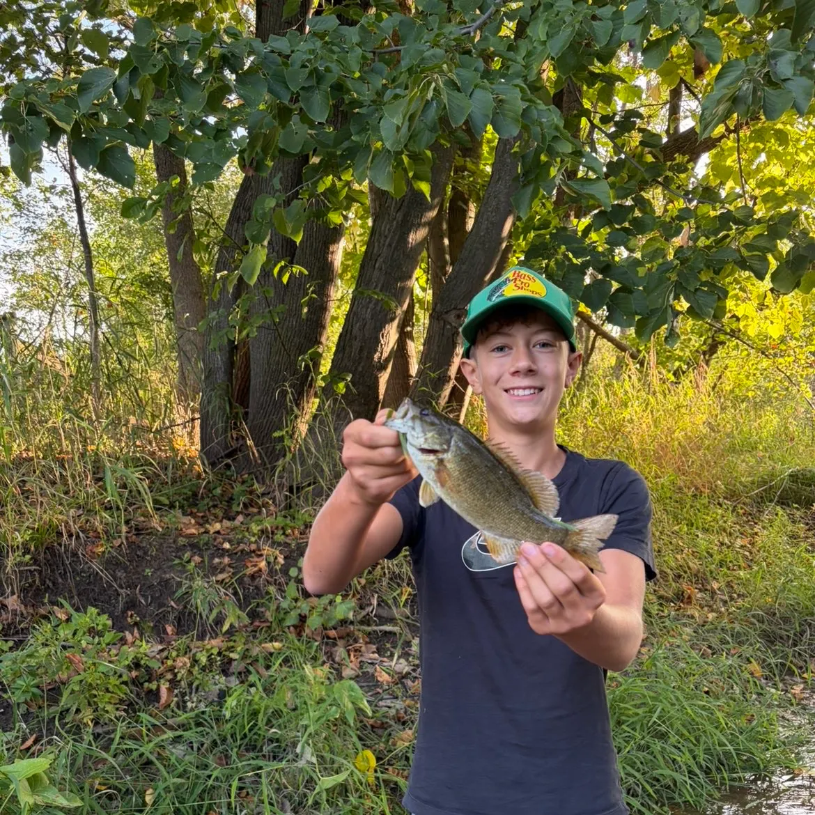 Smallmouth bass caught on Fishbrain