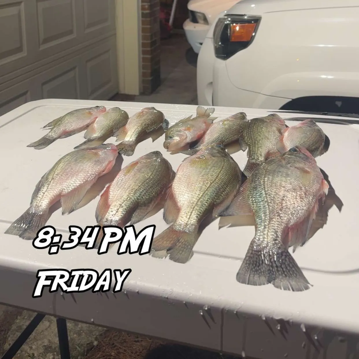 Black crappie caught on Fishbrain