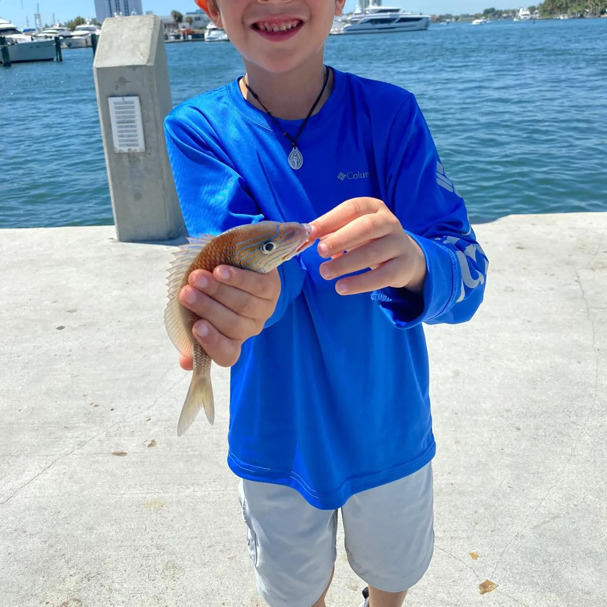 Bluestriped grunt caught on Fishbrain