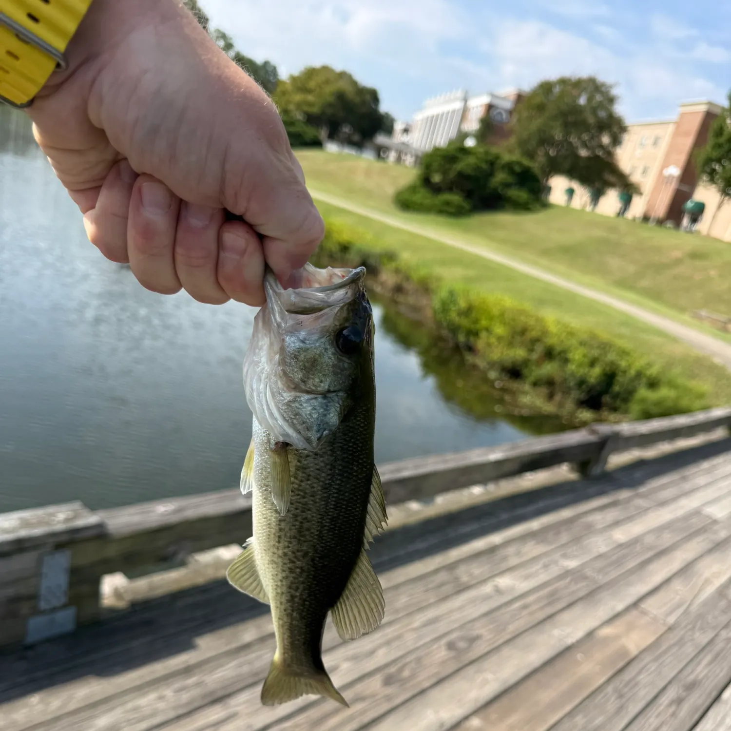 catch