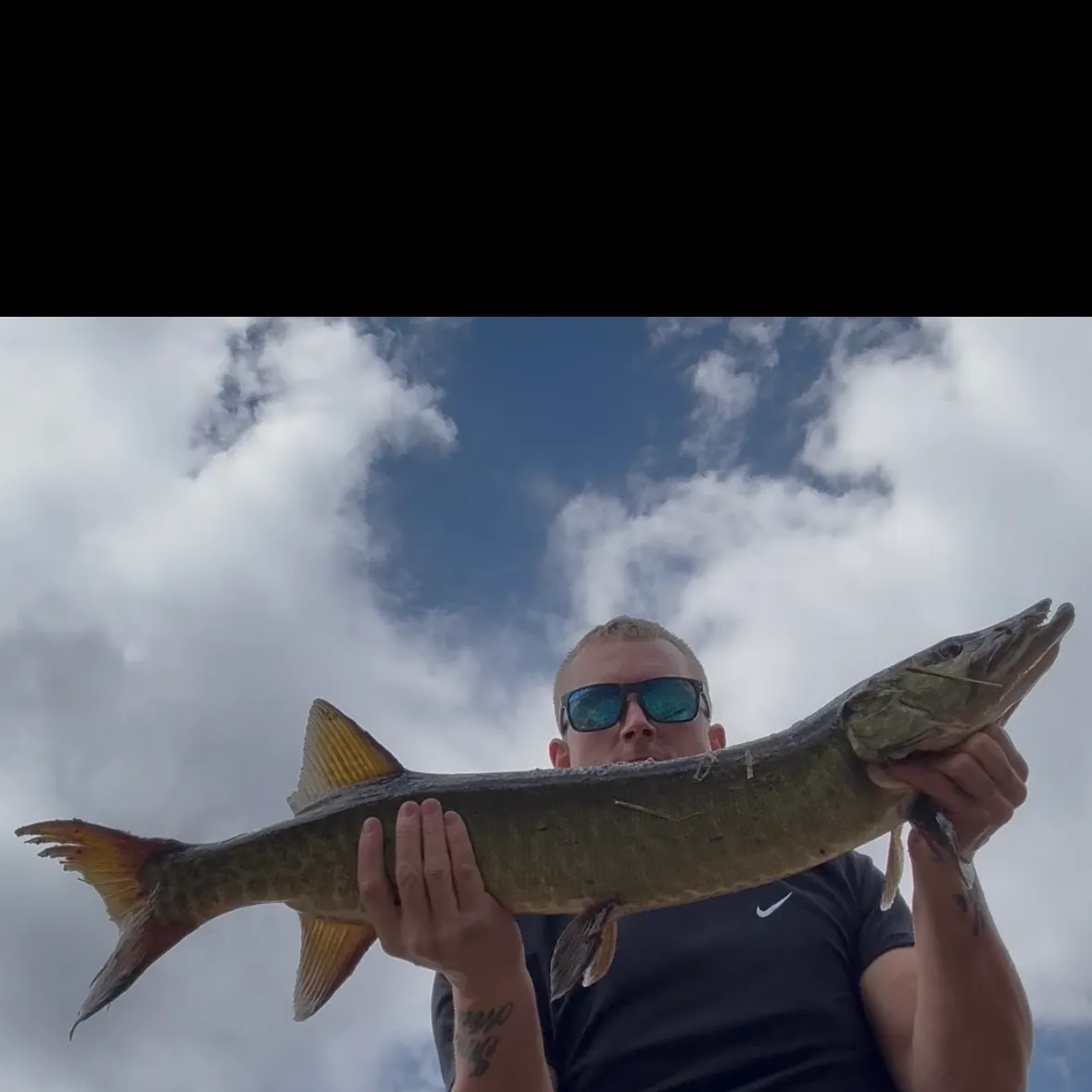 The most recent Muskellunge catches on Fishbrain