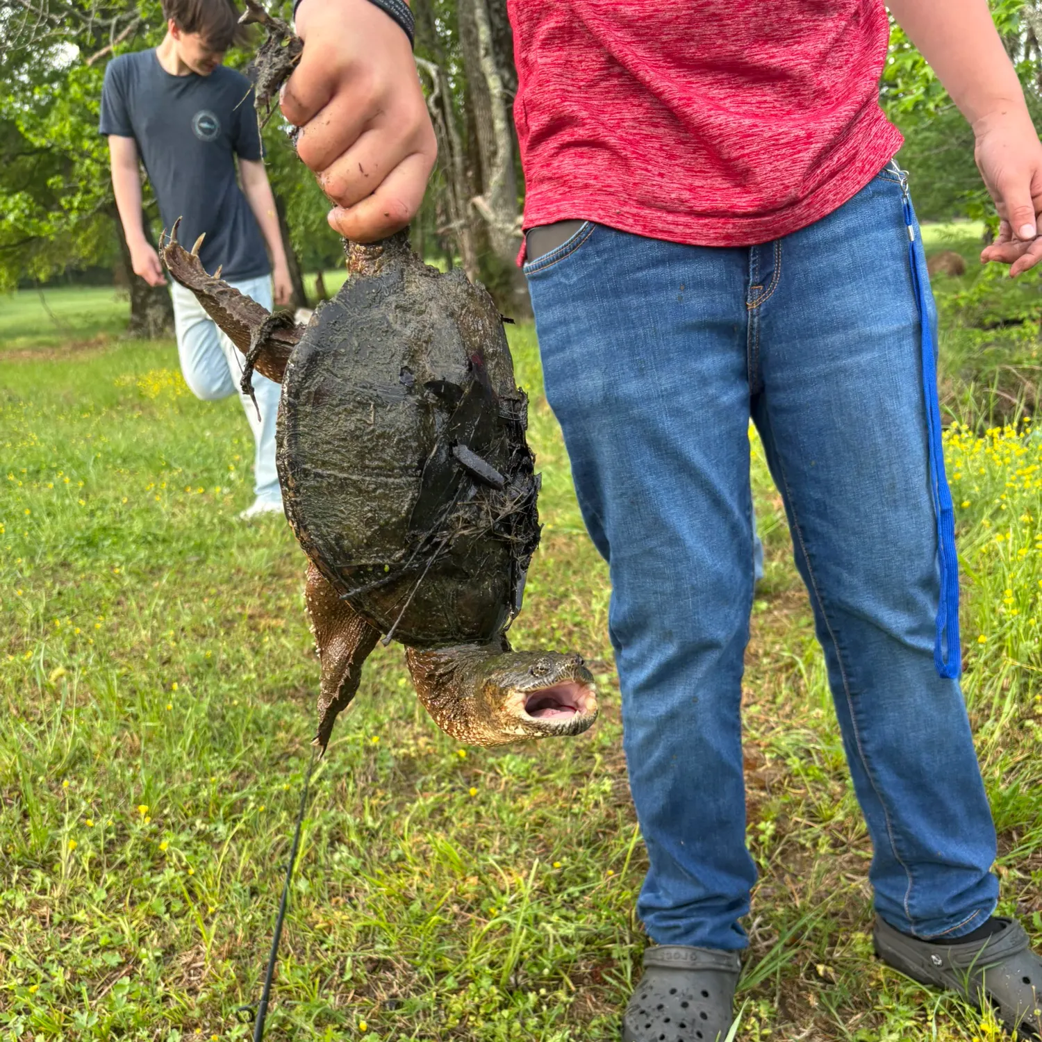 The most recent Common snapping turtle catches on Fishbrain