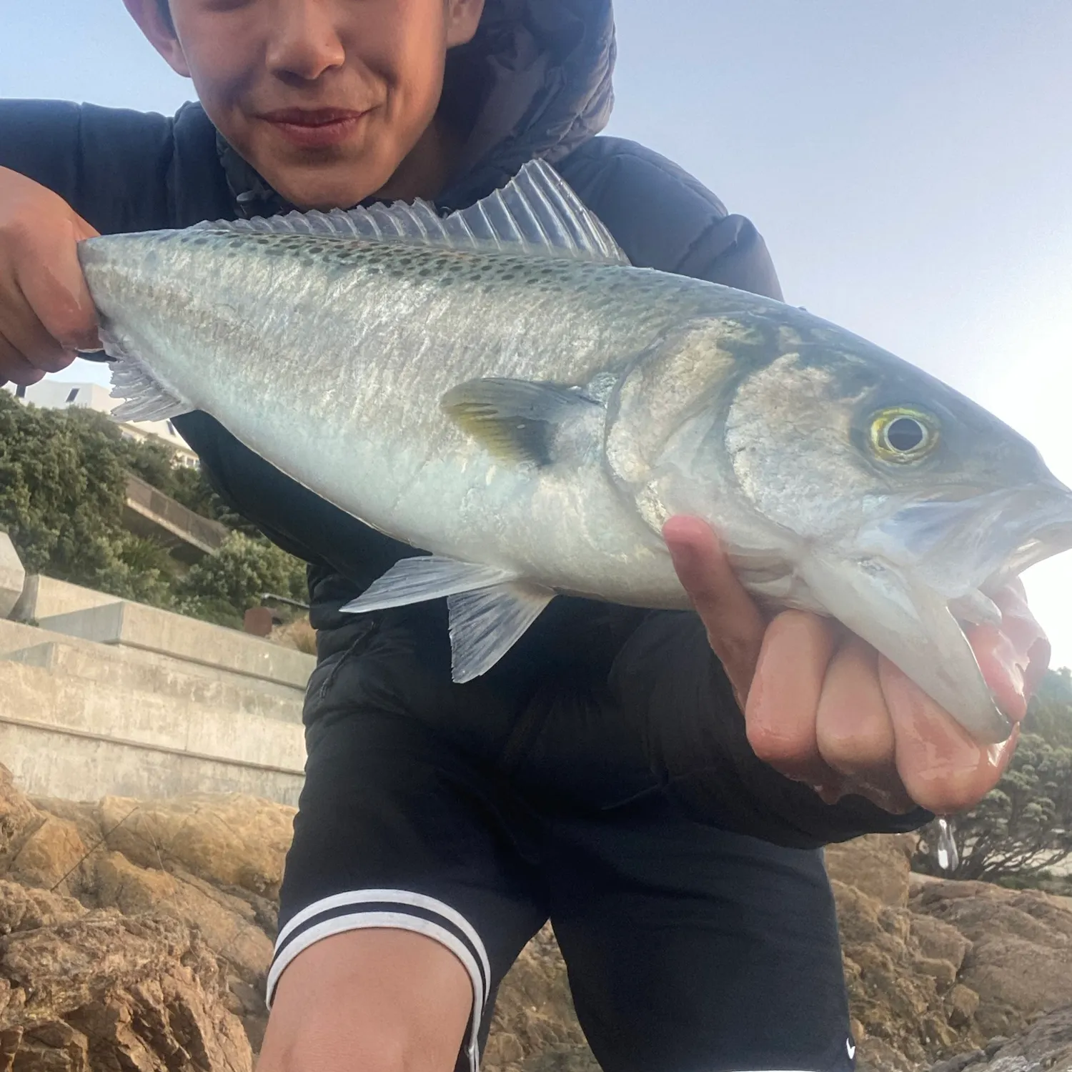 Eastern Australian salmon caught on Fishbrain