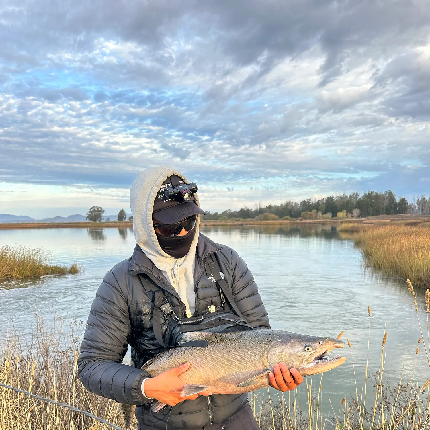 Fish caught on Fishbrain