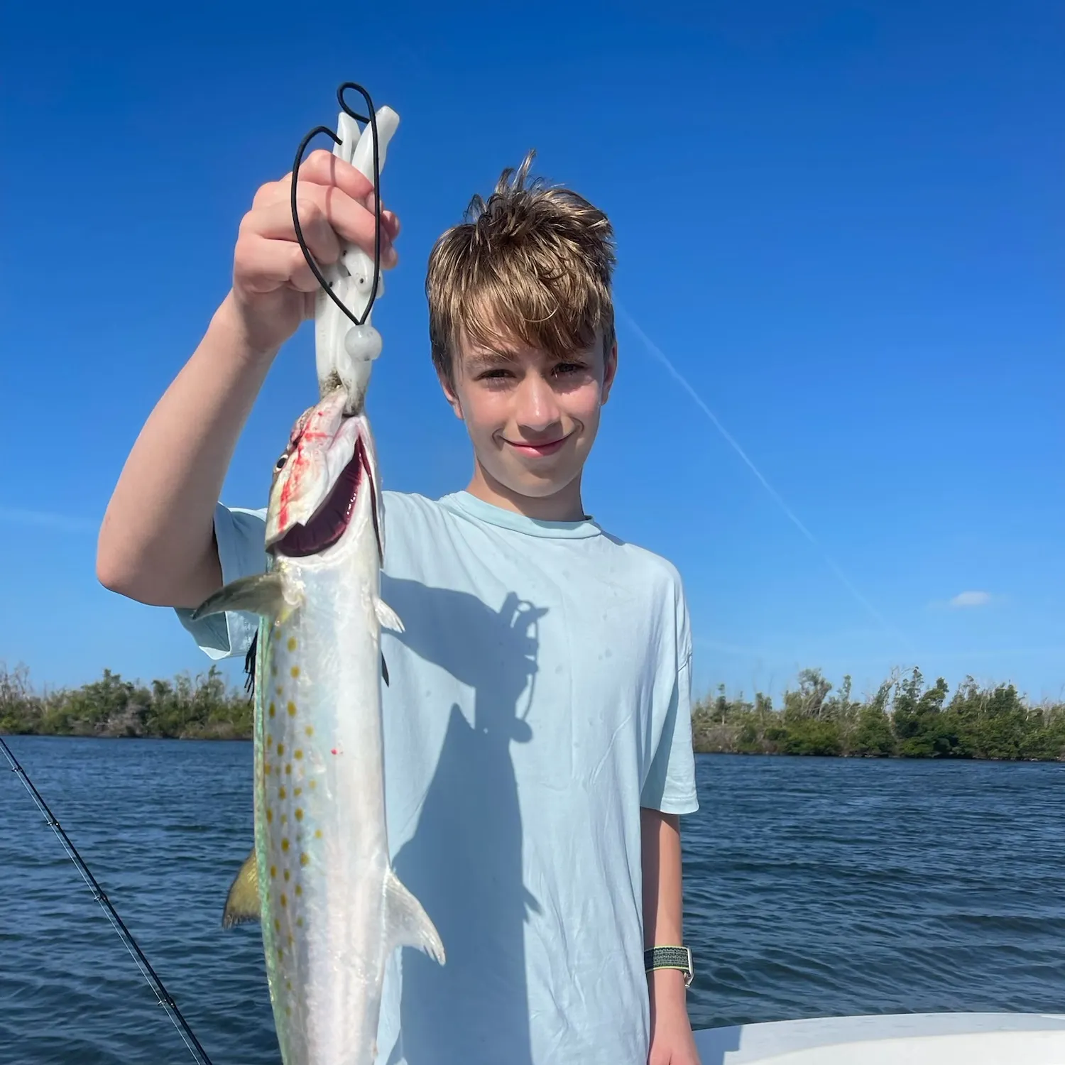 The most recent Blue mackerel catches on Fishbrain
