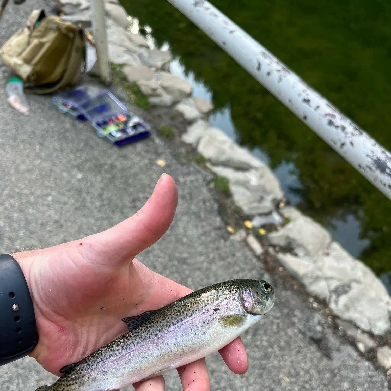 catch