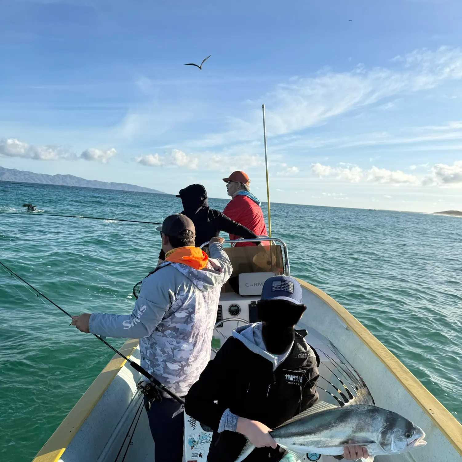 The most recent Roosterfish catches on Fishbrain