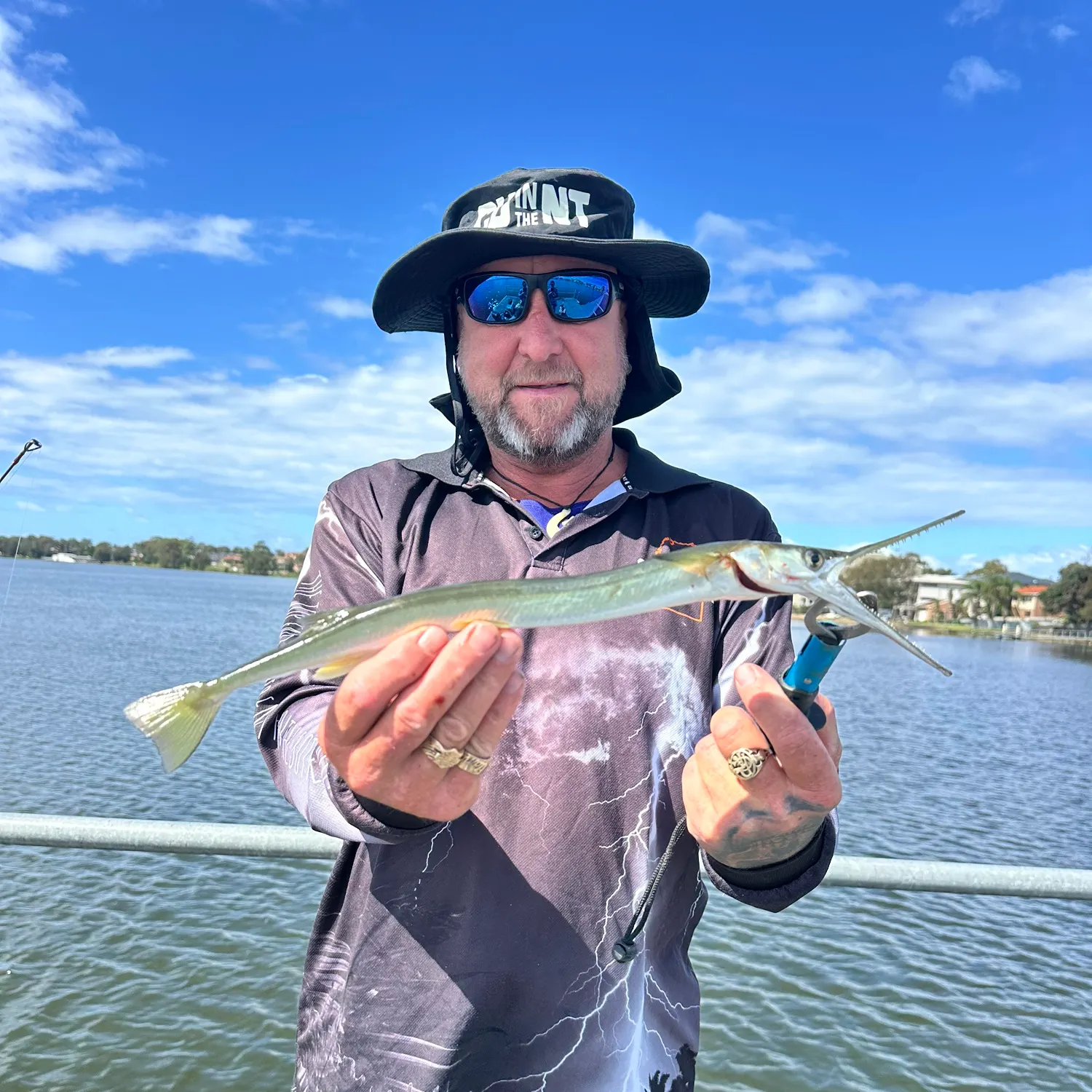 The most recent European garfish catches on Fishbrain
