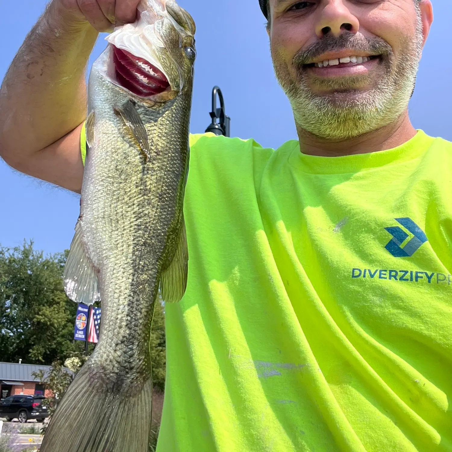 Largemouth bass caught on Fishbrain