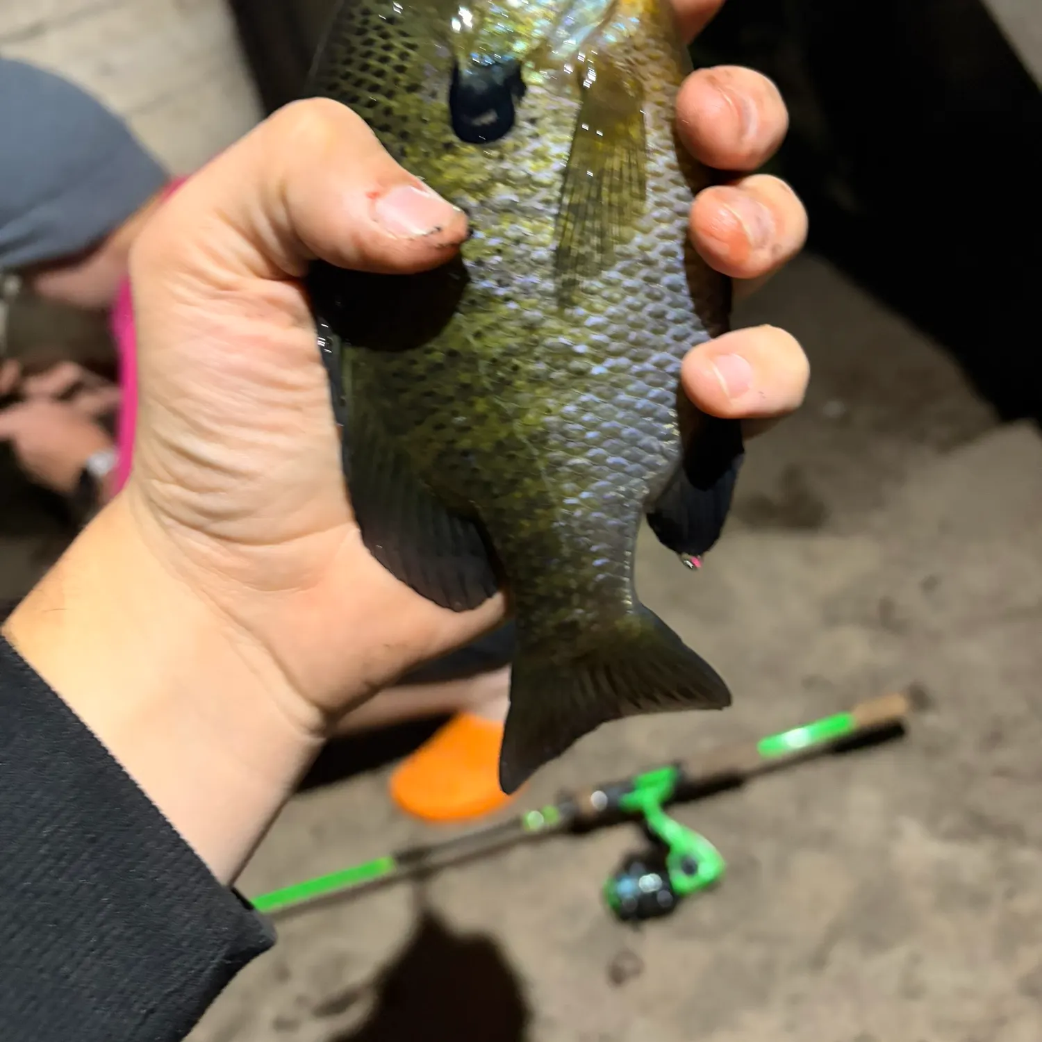 catch