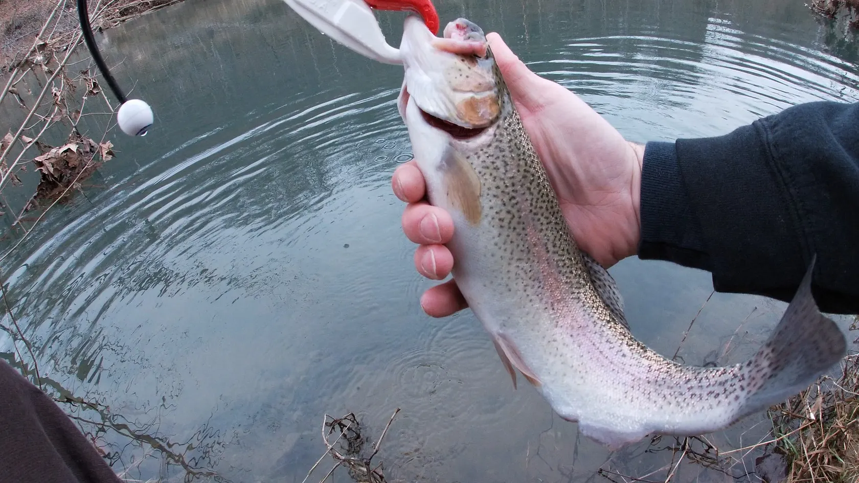 Post image from KayakSoldier