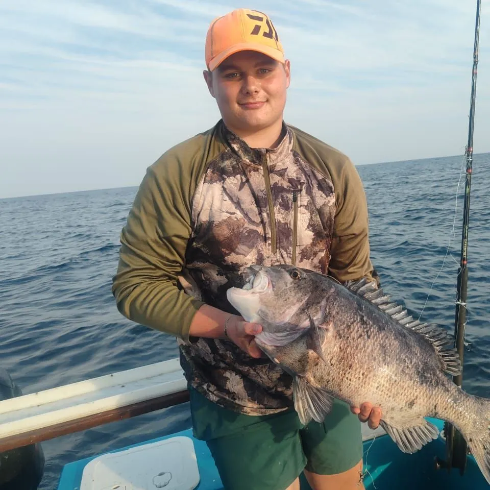 Poenskop seabream caught on Fishbrain