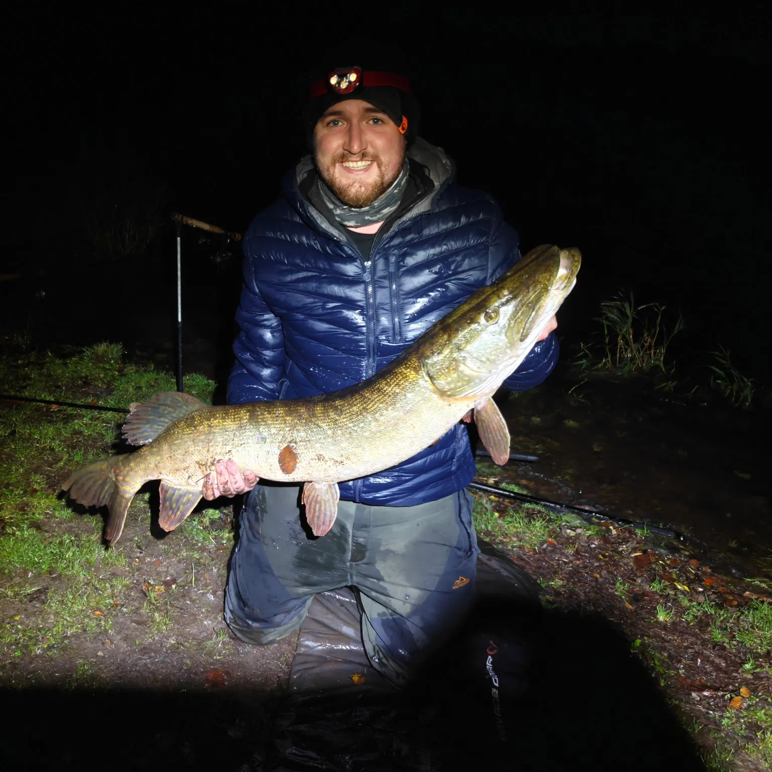 Northern pike caught on Fishbrain