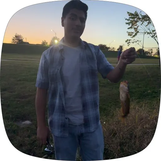 Yellow bullhead caught on Fishbrain