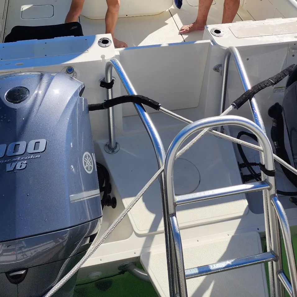 The most recent Cobia catches on Fishbrain