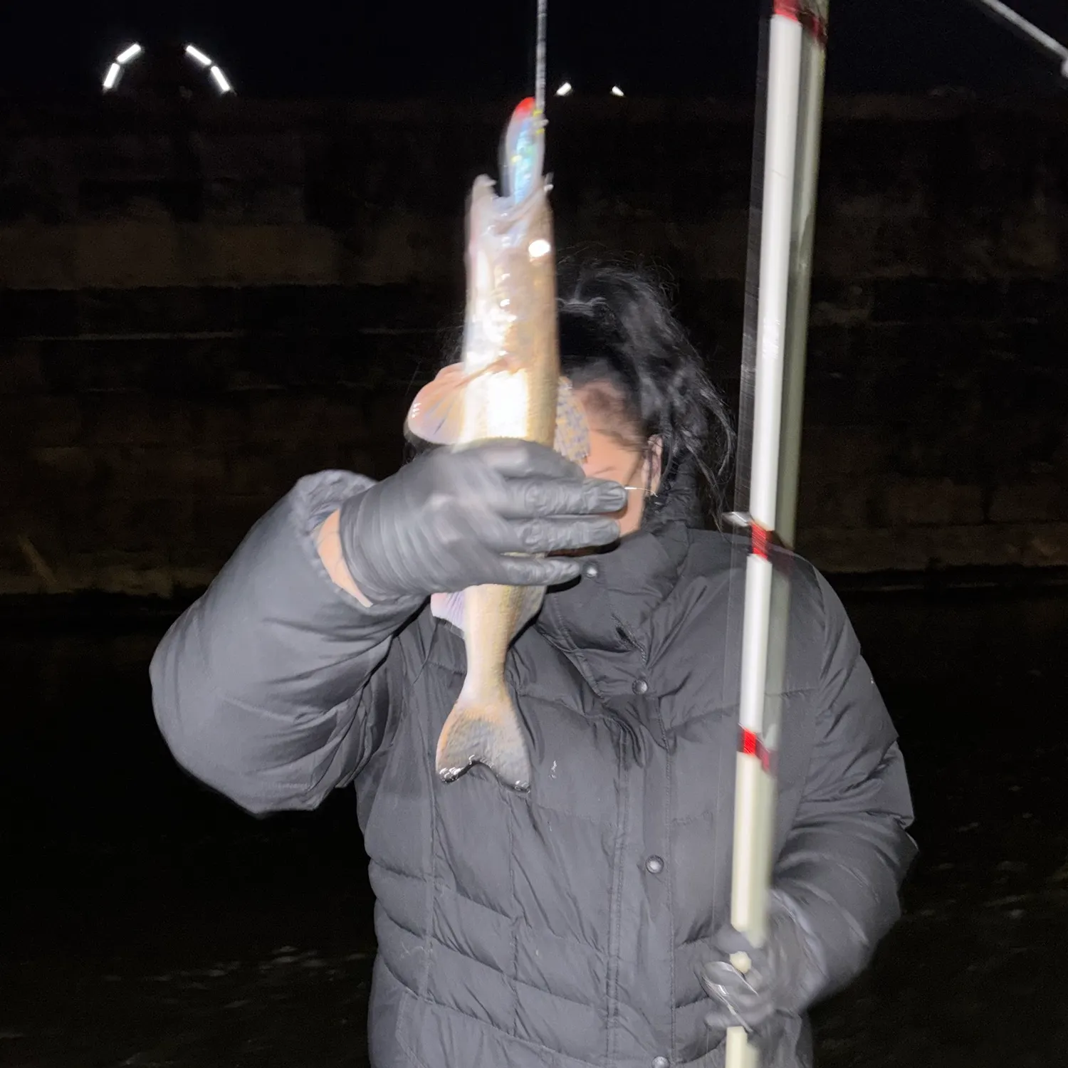 Sauger caught on Fishbrain